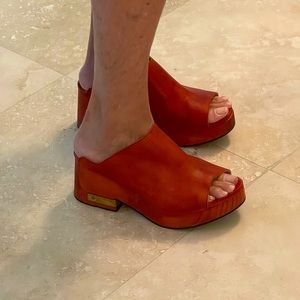 Leather clogs by Free People, with wood sole.